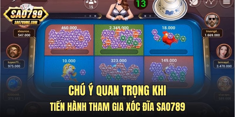 Chú ý quan trọng khi tiến hành tham gia xóc đĩa Sao789