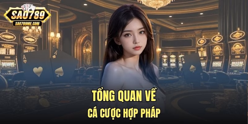 Tổng quan về cá cược hợp pháp